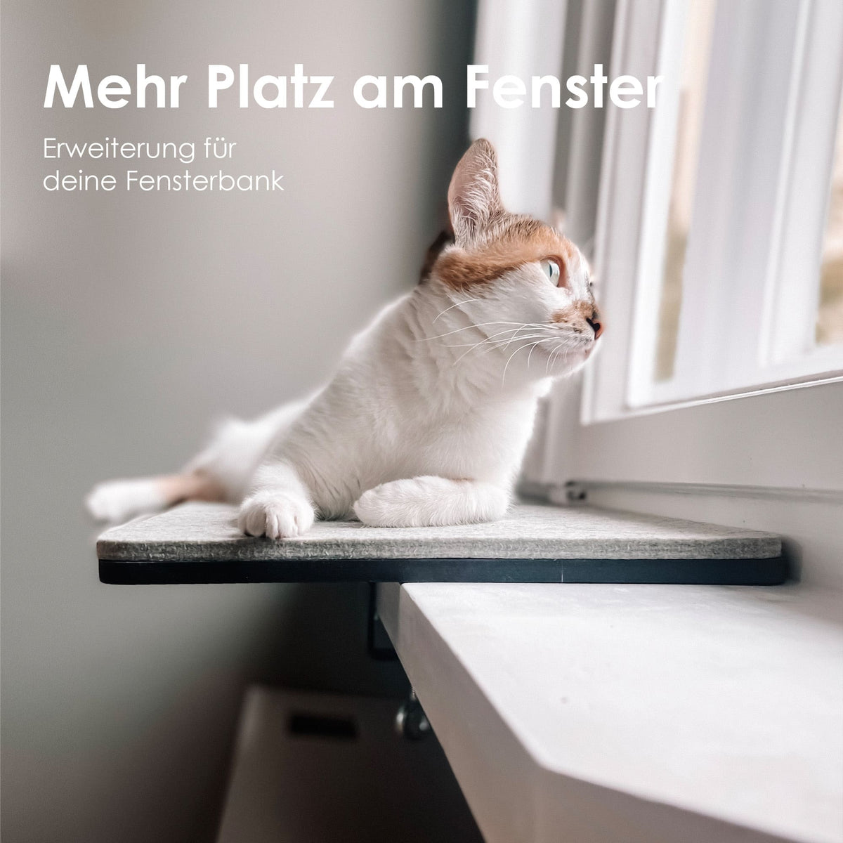 VIEW Fensterbankliege in Anthrazit – Katze beobachtet aus dem Fenster, mehr Platz auf der Fensterbank.