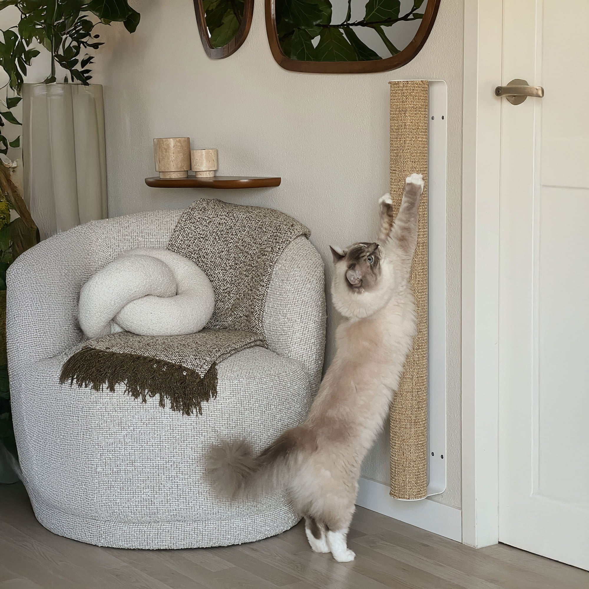 Katze an der CATWALK Kratzsäule an der Wand
