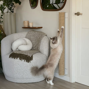 Un gatto sulla colonna da grattare a parete CATWALK