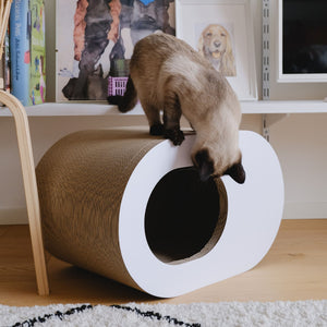 PAPERCAVE Katzenhöhle, Siamkatze schaut von oben in die Öffnung
