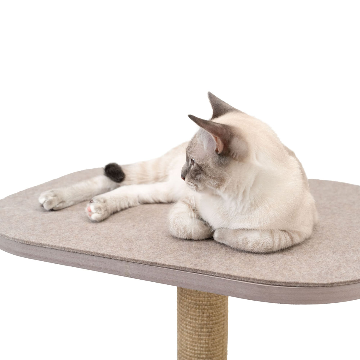 Katze liegt entspannt auf der Filz-Liegefläche des PEAK Kratzbaums – hochwertiger Sisal-Kratzstamm im Detail.