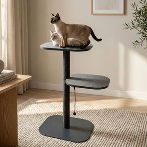Zwei Katzen auf der Liegefläche des PEAK Kratzbaums in Anthrazit – gemütliches Wohnzimmer mit Sisal-Kratzstamm.