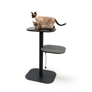 Zwei Katzen sitzen auf der oberen Liegefläche des PEAK Kratzbaums in Anthrazit mit robustem Sisal-Kratzstamm.