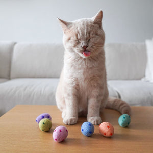 Katze mit RAINBOW EGGS Katzenbällen in Pastellfarben auf Tisch