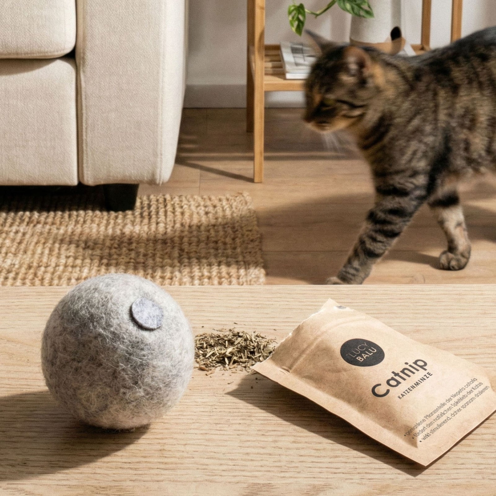 Getigerte Katze nähert sich grauem MINT BALL Filzball mit Katzenminze und Catnip-Beutel auf Holztisch
