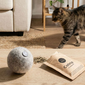 Un chat tigré s'approchant de la balle en feutre MINT BALL grise avec herbe à chat et sachet d'herbe à chat sur une table en bois
