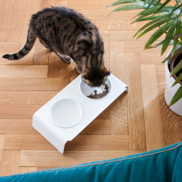 DINE Futterstation in Weiß, getigerte Katze frisst aus der Schüssel, Parkettboden