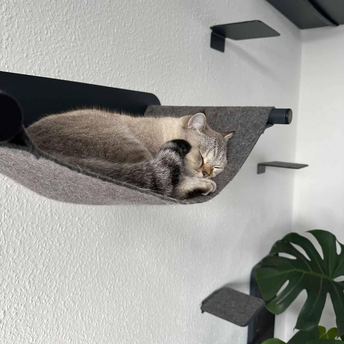 Kit Mur d&#39;escalade pour chat (Anthracite) - SCRATCHPAD