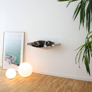 Katze liegt in der weißen SWING Hängematte an der Katzenwand