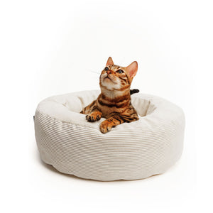 NEST Katzenbett in Sand, Bengal-Katze liegt aufmerksam im gemütlichen Cordbett