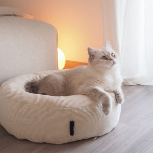 NEST Katzenbett in Weiß, Point-Katze sitzt aufmerksam darin vor warmem Lampenlicht