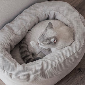 Cuccia per gatti DINGHY in bianco crema, gatto che si pulisce rannicchiato dentro