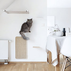 Katze klettert und kratzt an der weißen Katzenwand mit SCRATCHPAD, STEPS und SWING