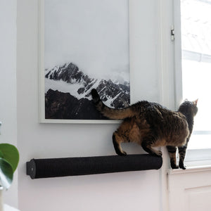 Un gatto si arrampica sul tiragraffi