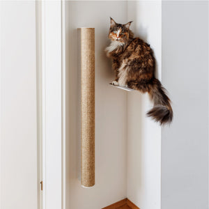 Gatto accanto al tiragraffi