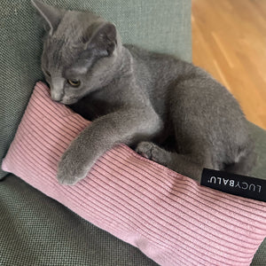 Graue Katze liegt auf Sofa und umklammert rosa Cord KICK BUNNY Kissen mit Katzenminze von LucyBalu