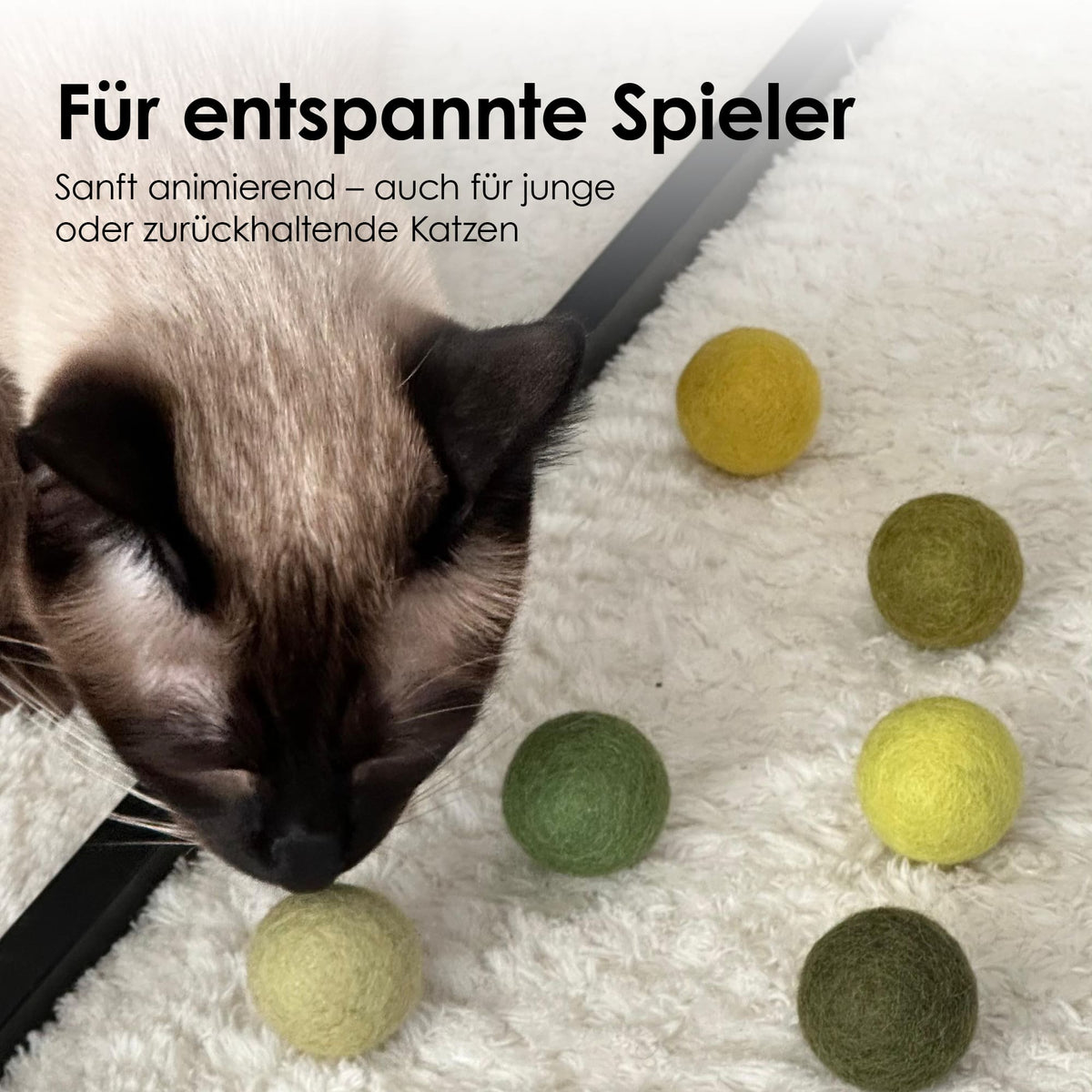 Un chat avec les balles en feutre MATCHA MIX – pour les joueurs détendus
