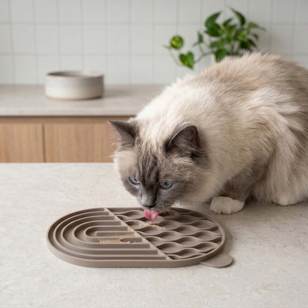 Tappetino leccalecca ZENPAD in taupe, gatto Ragdoll che lecca con gusto in cucina