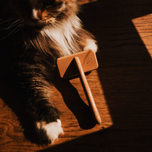 FURRY Slickerbürste aus Holz, Nahaufnahme neben Katzenpfote im Sonnenlicht