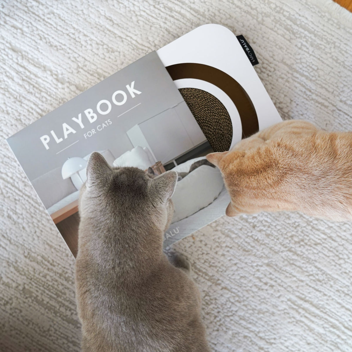 Zwei Katzen spielen auf weißem PLAYBOOK Kratzbrett aus Wellpappe mit rundem Kratzbereich und integriertem Ball