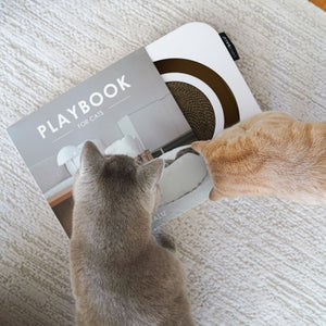 Zwei Katzen spielen auf weißem PLAYBOOK Kratzbrett aus Wellpappe mit rundem Kratzbereich und integriertem Ball