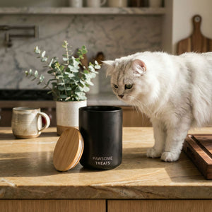 Gatto guarda dentro il barattolo per snack SNACK BAR color antracite aperto in cucina