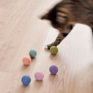 Gatto gioca con le palline di feltro RAINBOW BALLS colorate su pavimento in legno