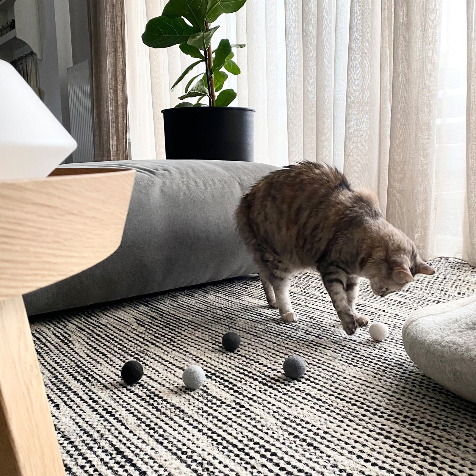Katze spielt mit SHADES OF GREY Filzbällen auf Teppich
