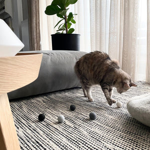 Katze spielt mit SHADES OF GREY Filzbällen auf Teppich