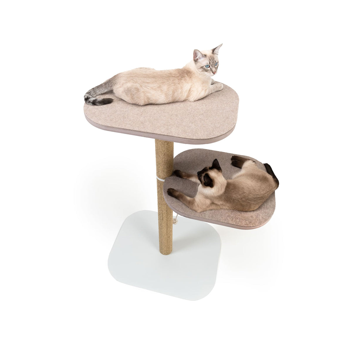 Zwei Katzen liegen auf den beiden Filz-Liegeflächen des PEAK Kratzbaums – hochwertige Katzenmöbel für mehrere Katzen.