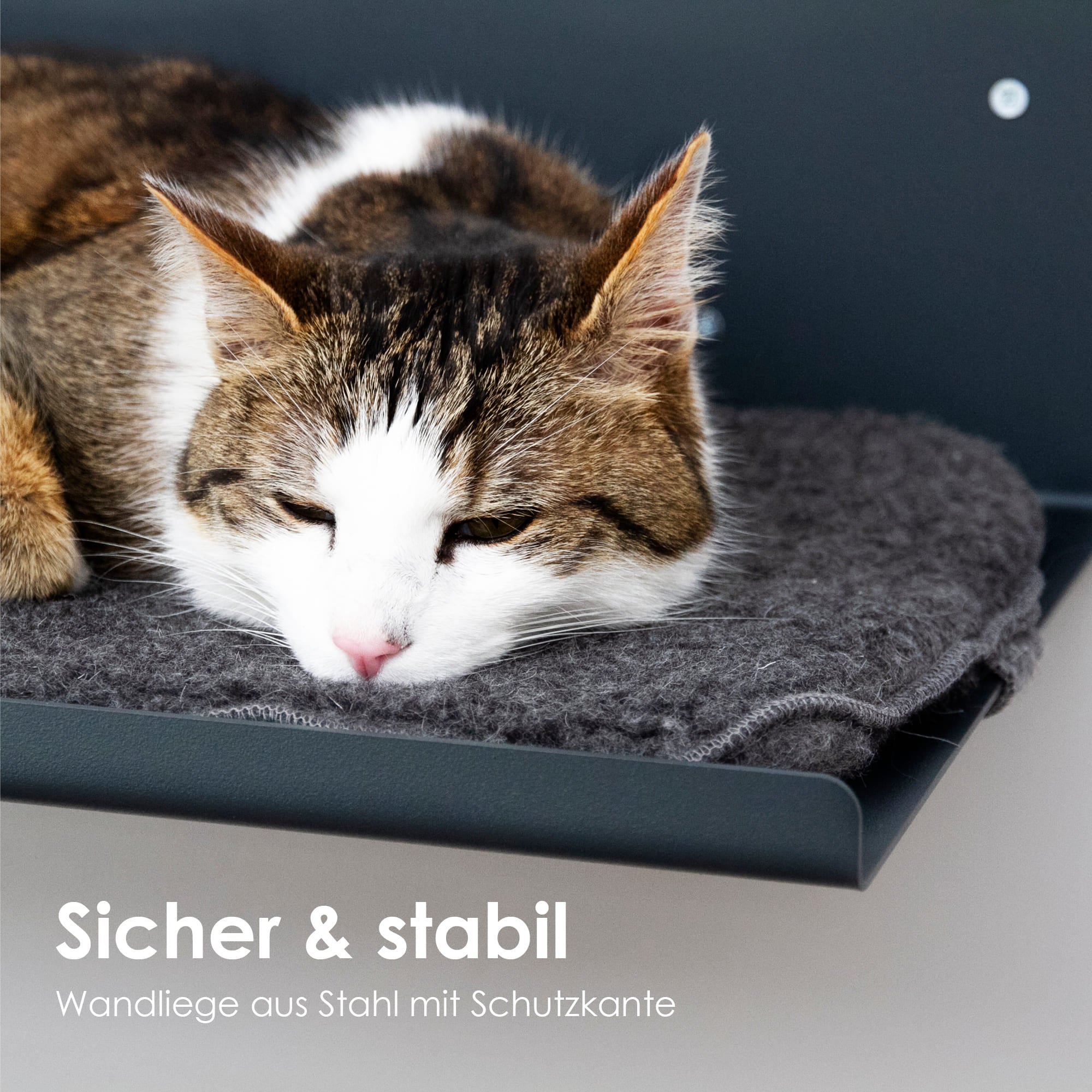 Katzenbett Wand stabil