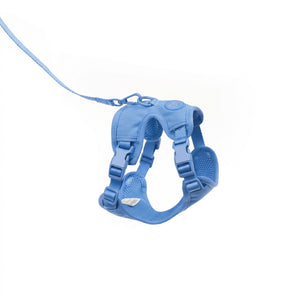 Pettorina per gatti EXPLORER in blu con guinzaglio, vista prodotto isolata