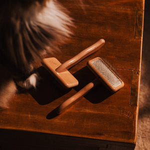 FURRY Slickerbürste: Zwei Bürsten auf dunklem Holztisch, Katze im Hintergrund