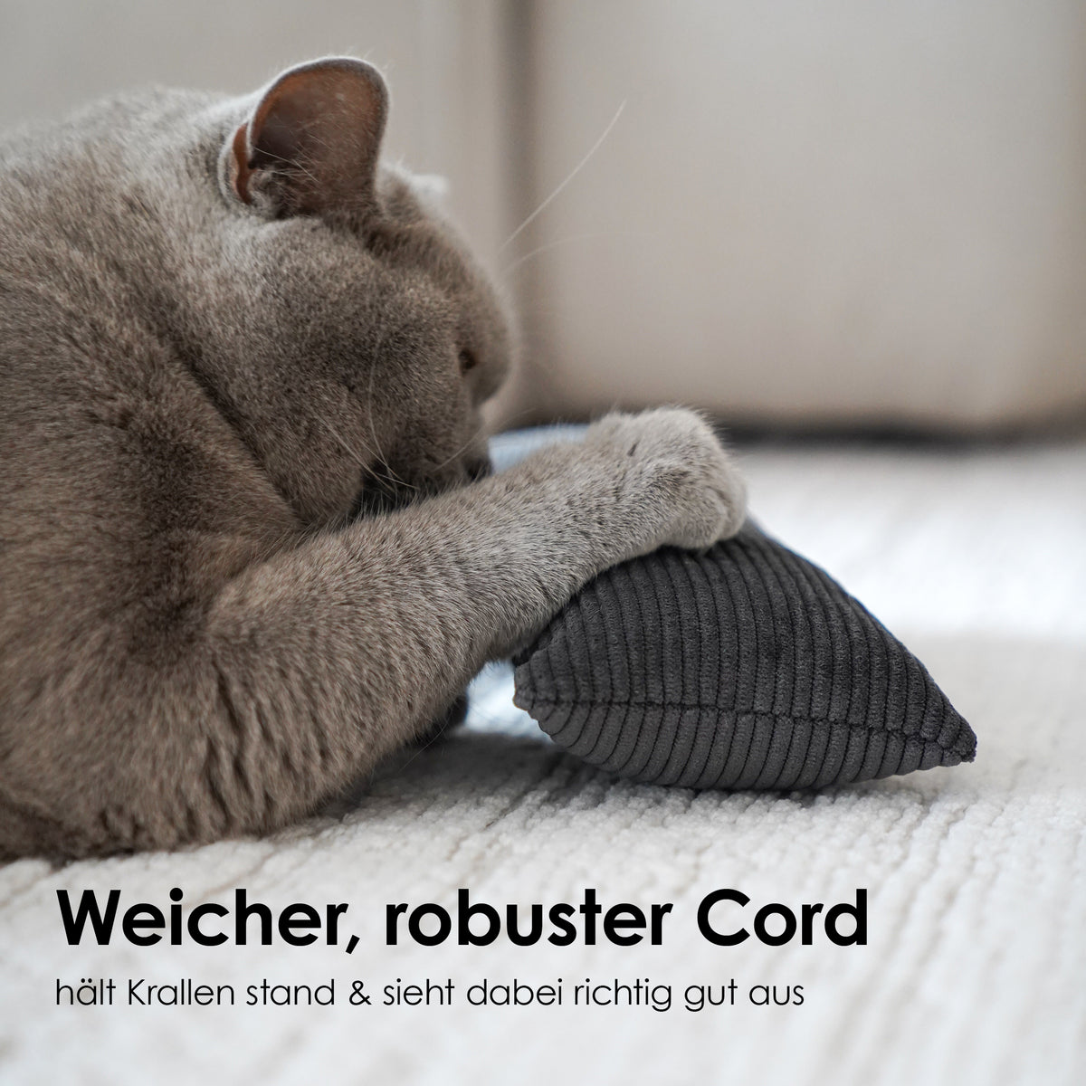 Graue Katze schnuppert an beigem Cord KICK BUNNY Spielkissen mit Katzenminze und Merinowolle Füllung