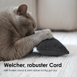 Graue Katze schnuppert an beigem Cord KICK BUNNY Spielkissen mit Katzenminze und Merinowolle Füllung