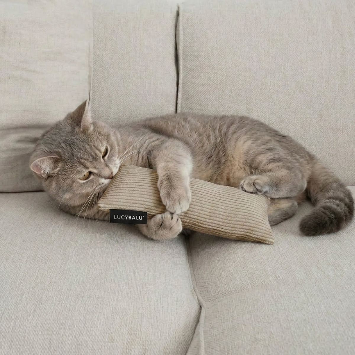 Graue Tabby Katze beißt in taupefarbenes KICK BUNNY Kissen mit Katzenminze auf Sofa