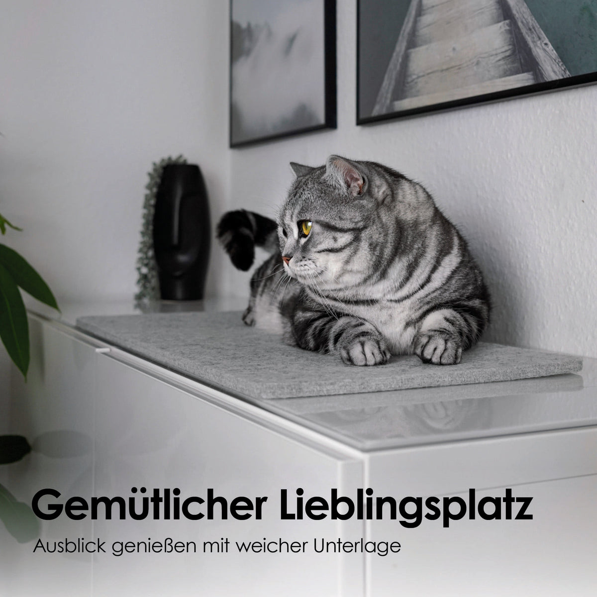 Getigerte Katze liegt auf grauer FELTY Fensterbrettauflage auf einem Sideboard – gemütlicher Lieblingsplatz
