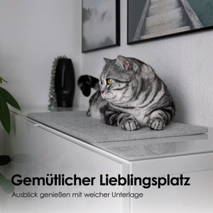 Getigerte Katze liegt auf grauer FELTY Fensterbrettauflage auf einem Sideboard – gemütlicher Lieblingsplatz