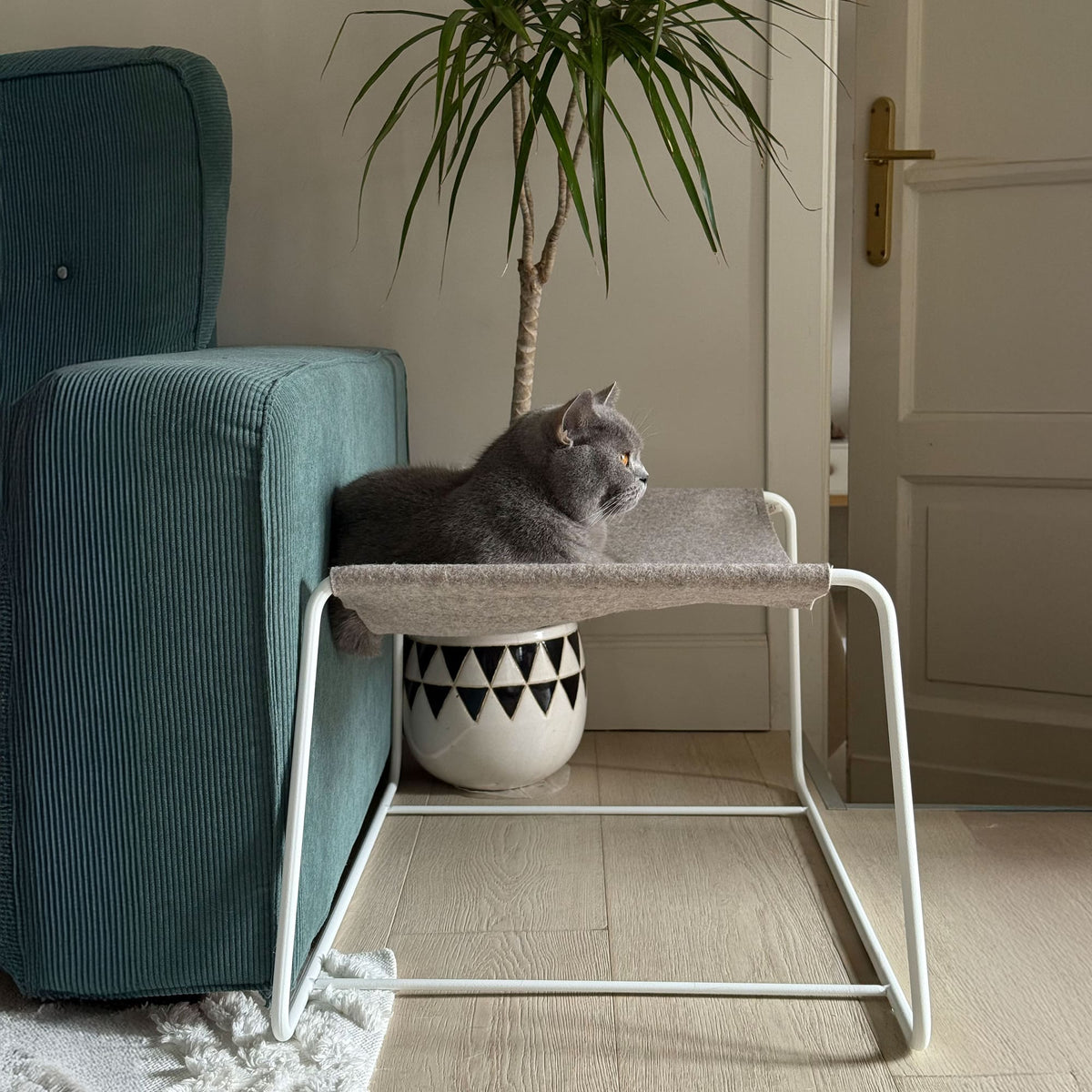 Katze liegt auf der freistehenden FLOAT Hängematte neben einem Sessel und einer Zimmerpflanze