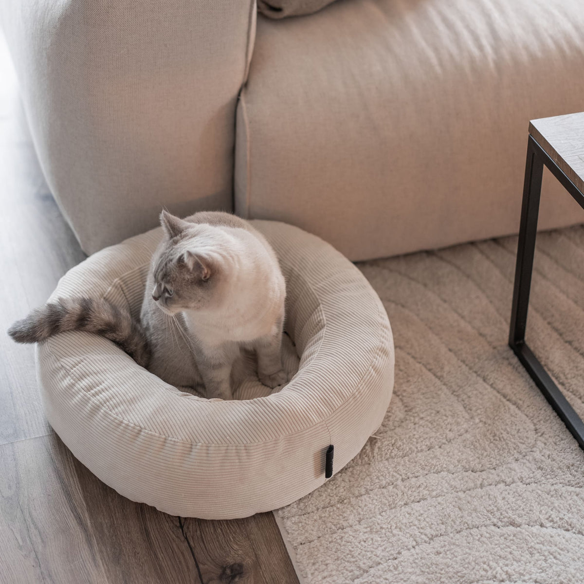 NEST Katzenbett in Sand, Katze sitzt darin auf flauschigem Teppich im Wohnzimmer