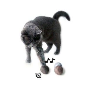 Gatto gioca con le palline di feltro SOUND BALLS tintinnanti con campanellino