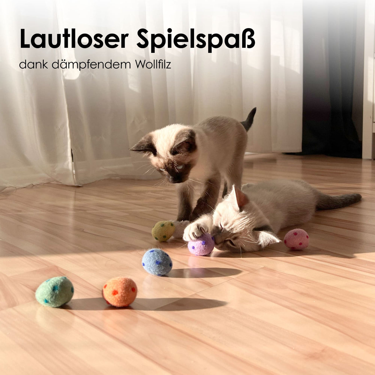 Katzen spielen mit RAINBOW EGGS Katzenbällen – lautloser Spielspaß dank dämpfendem Wollfilz