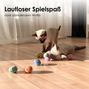 Katzen spielen mit RAINBOW EGGS Katzenbällen – lautloser Spielspaß dank dämpfendem Wollfilz