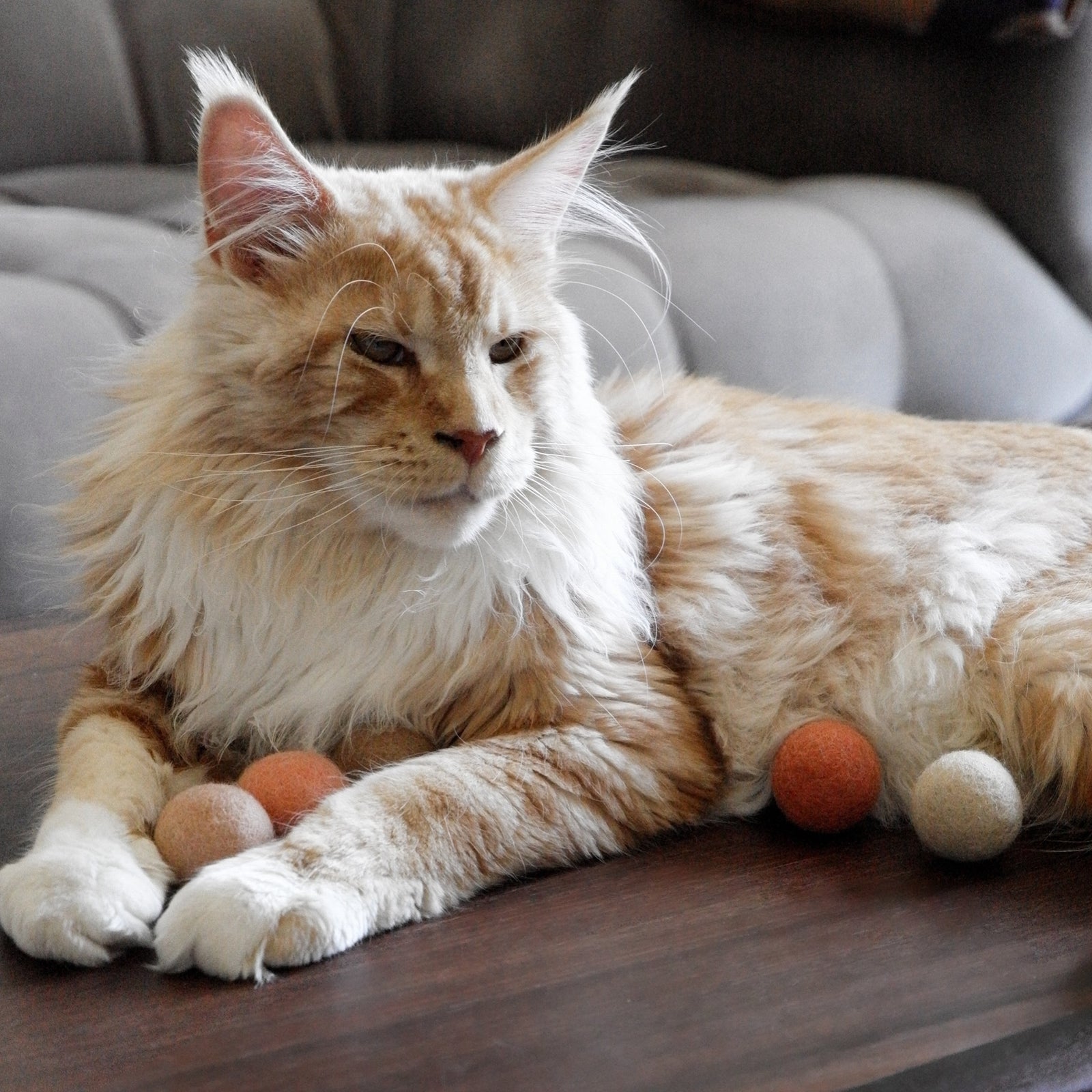 PEACH FUZZ Katze kuschelt mit pastellfarbenen Filzbällen
