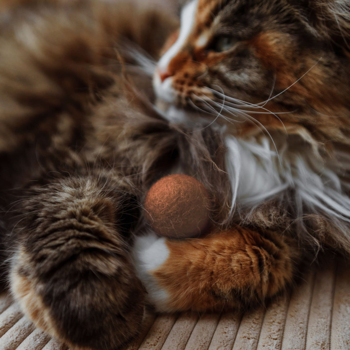 Katze hält PEACH FUZZ Filzball zwischen den Pfoten