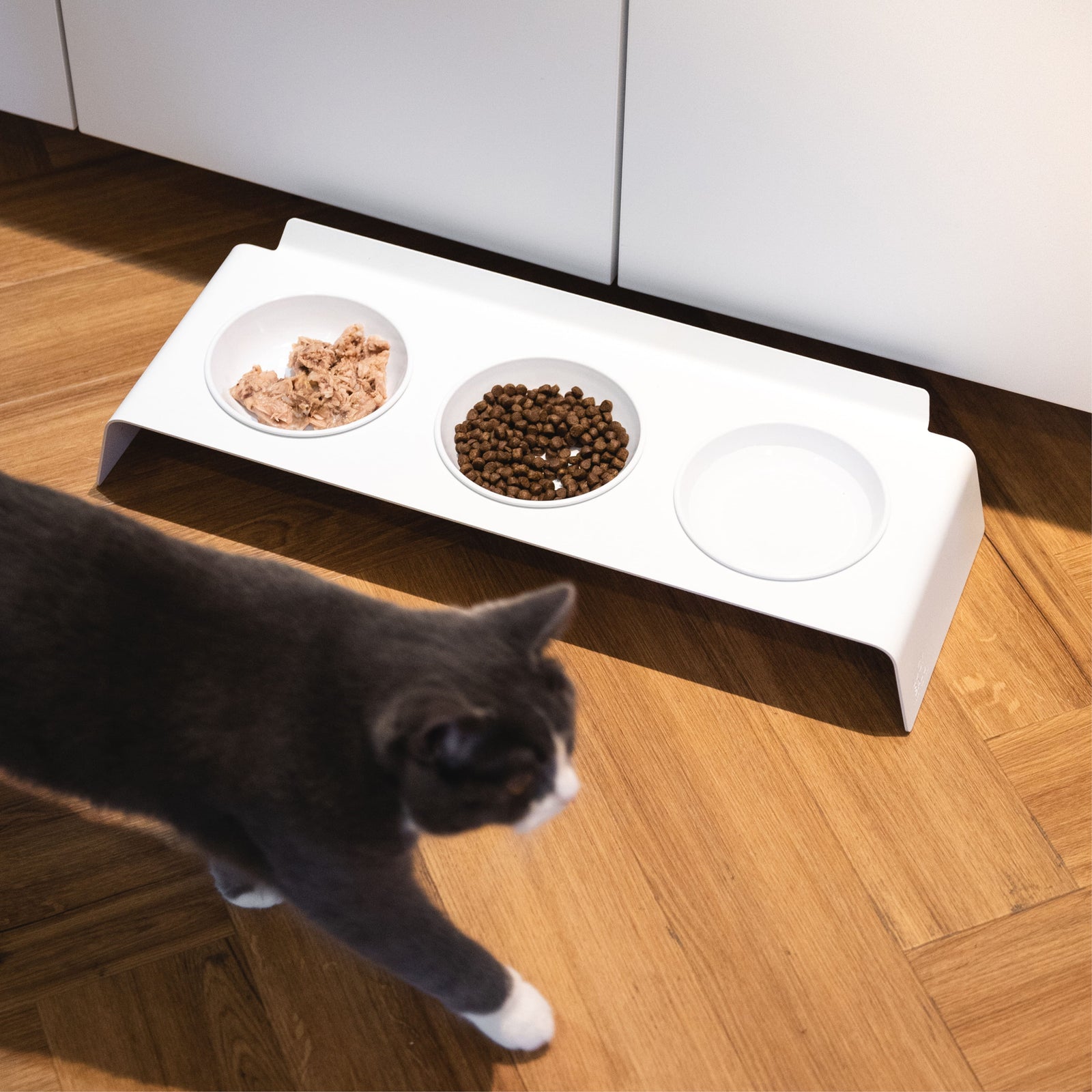 BUFFET Futterstation in Weiß mit drei Näpfen – Katze nähert sich dem Futterplatz, Aufsicht.