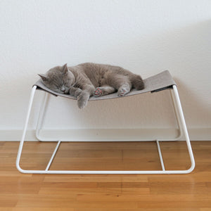 Katze schläft entspannt auf der FLOAT Hängematte mit weißem Metallgestell