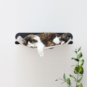 Gatto a pelo lungo che dorme disteso nell'amaca da parete in feltro SWING, accanto a un ramo di eucalipto.
