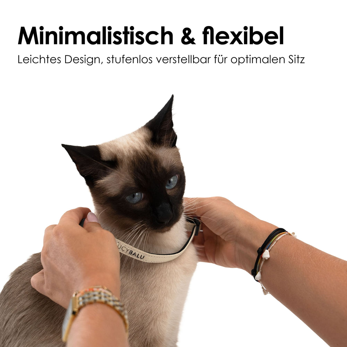 Collare per gatti flessibile e minimalista con design leggero e meccanismo di sicurezza.