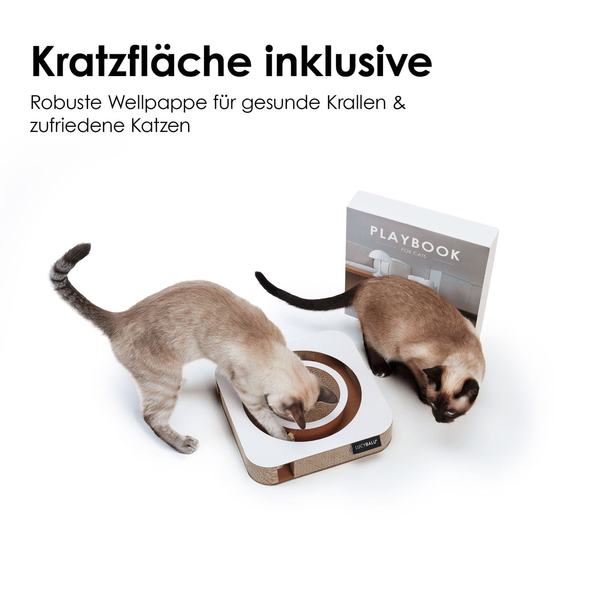 Zwei Katzen spielen am interaktiven PLAYBOOK Kratzbrett aus Wellpappe mit runder Kratzfläche und integriertem Ball, Verpackung im Hintergrund